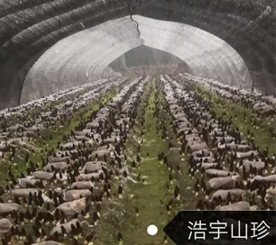 &#24320;&#20803;&#32593;&#31449;&#30331;&#24405;&#20837;&#21475;&#95;&#24320;&#20803;&#65288;&#20013;&#22269;&#65289;